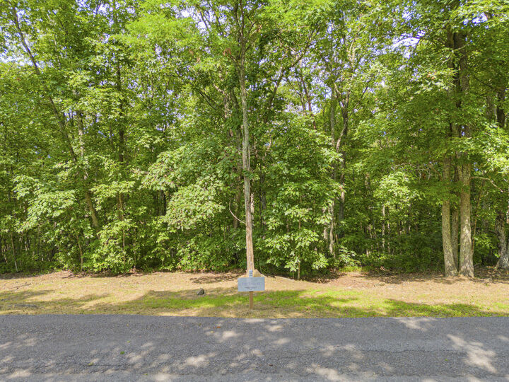 Property Photo:  Lot 96 White Rock Trl  WV 24925 
