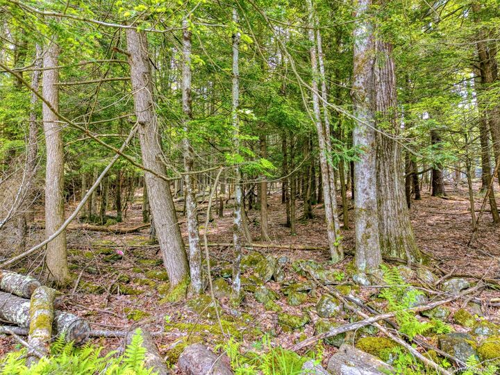Property Photo: Tbd Boulder Brook Lot B10 Road NY 12496