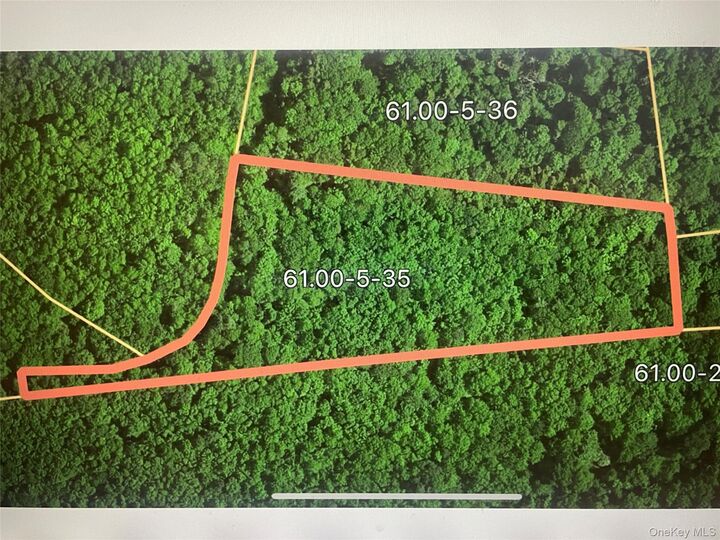 Property Photo: Tbd Boulder Brook Lot 11 Road NY 12496