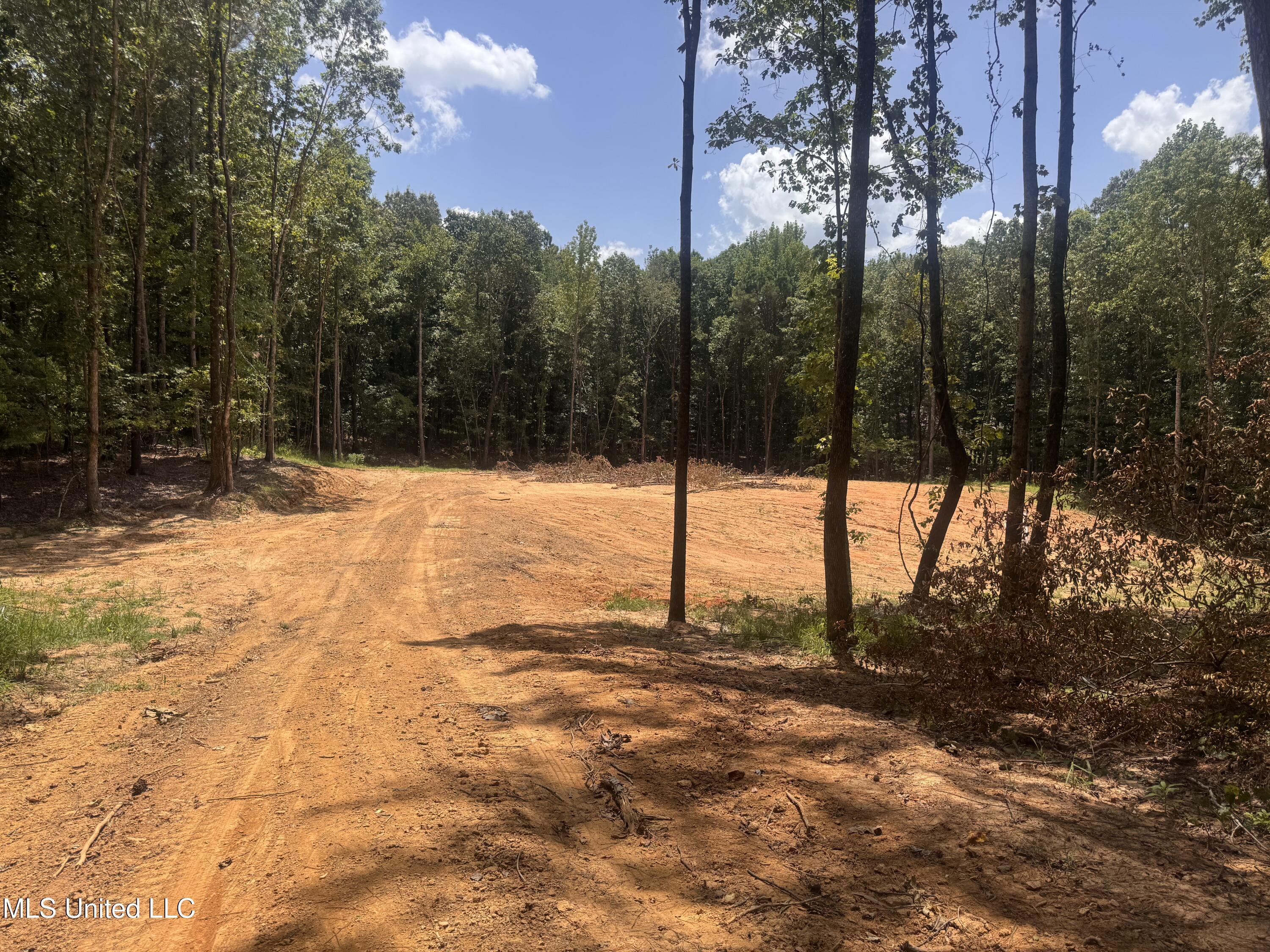 Property Photo:  25 Leonard Lane  MS 38635 