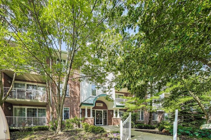 Property Photo: 541 N Hough Street 106 IL 60010