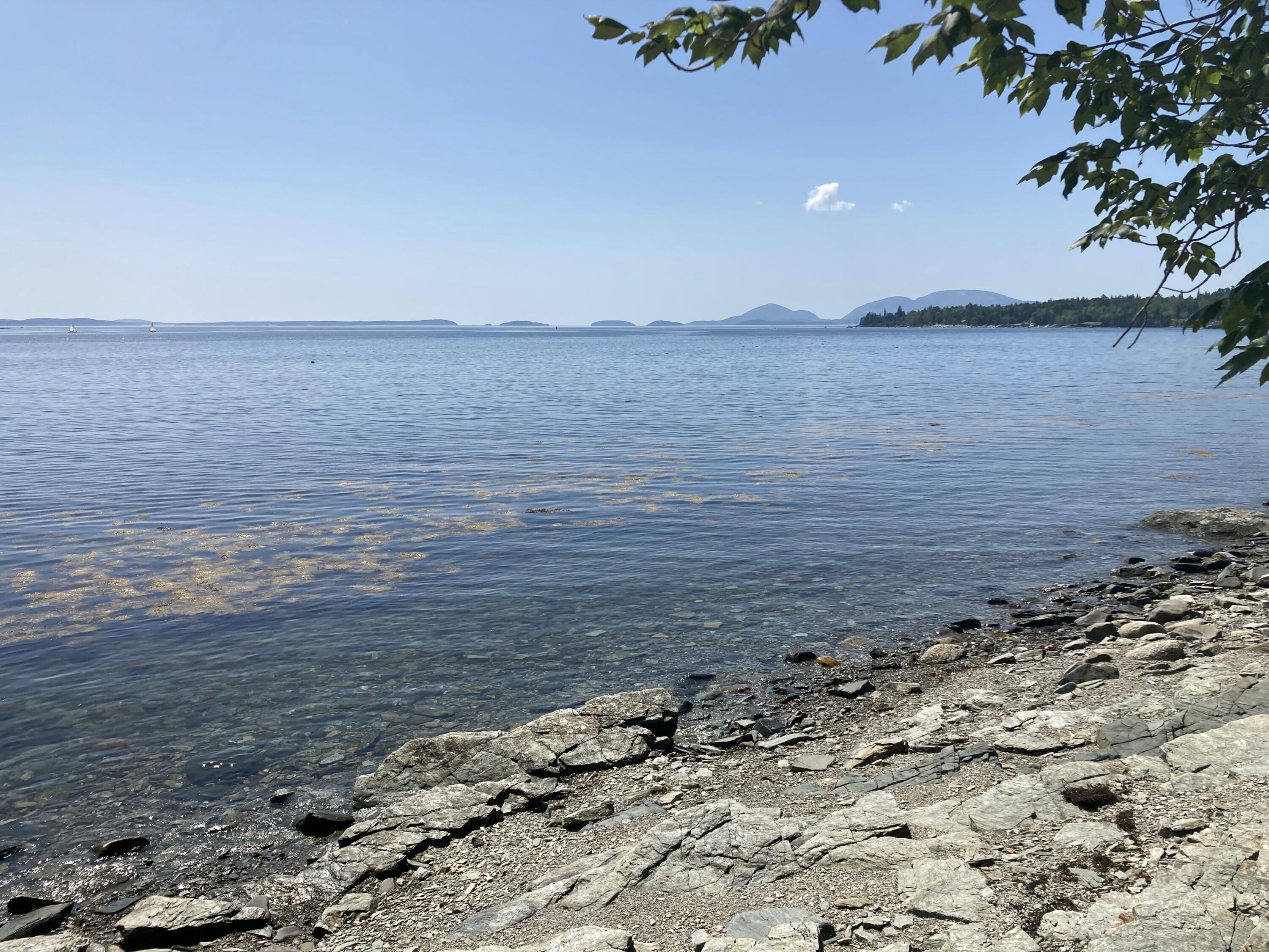 Property Photo:  157 Jellison Cove Road  ME 04640 
