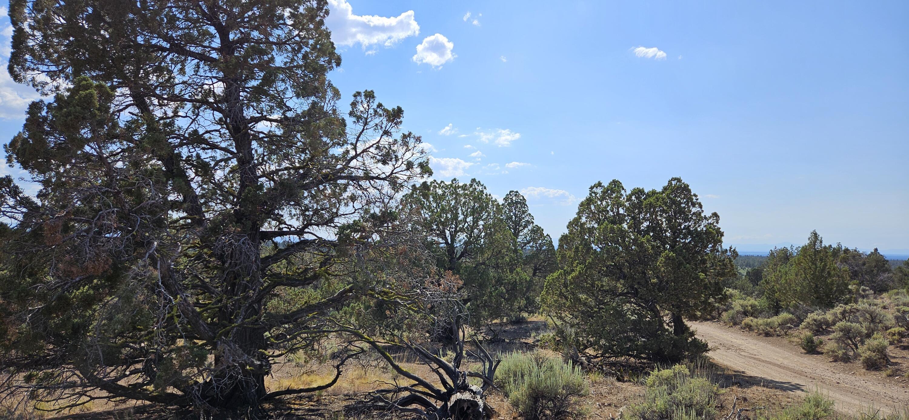 Property Photo: SE Sycamore Lane OR 97754