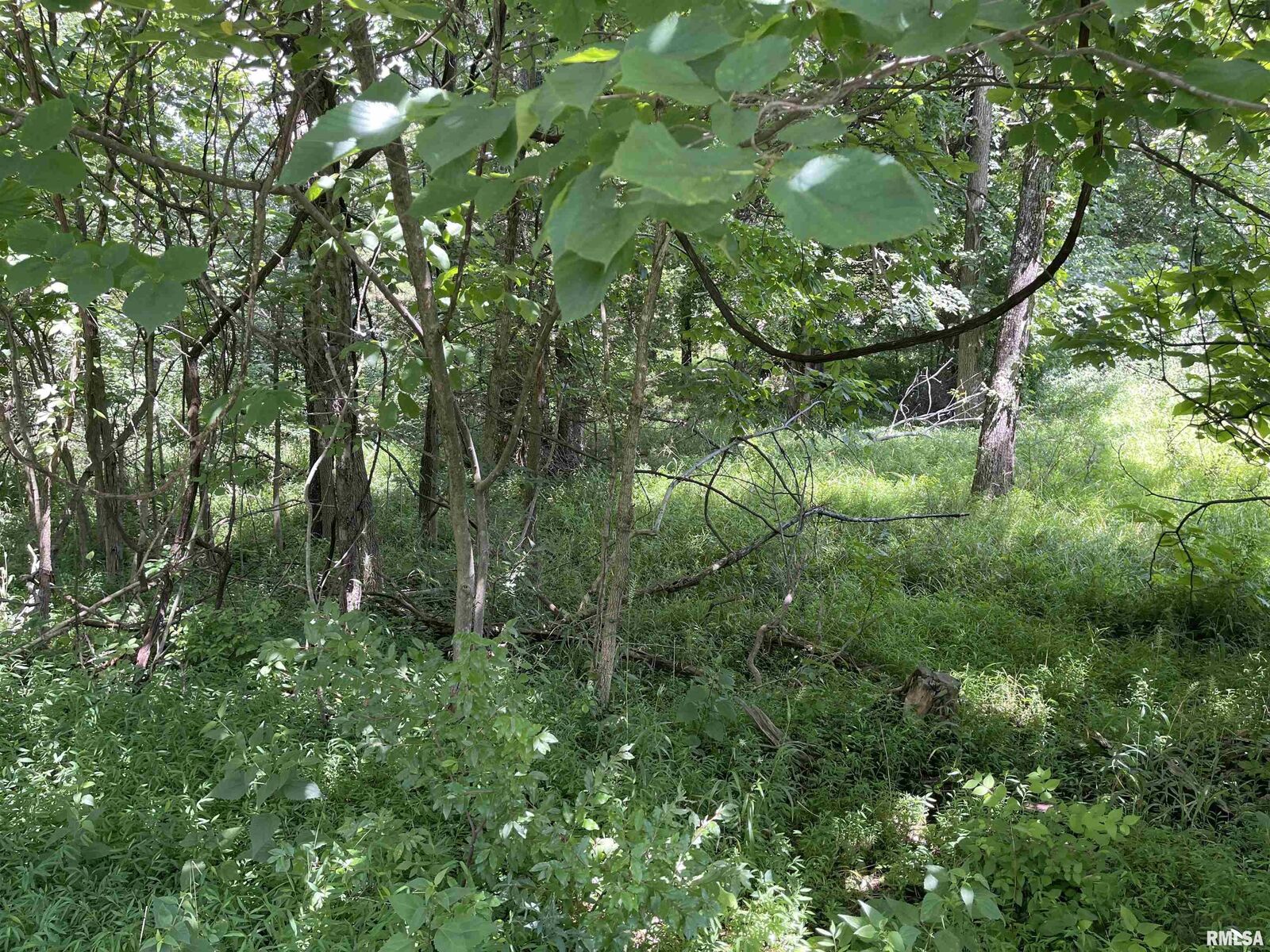 Property Photo: Lot 246 Mark Drive IL 62939