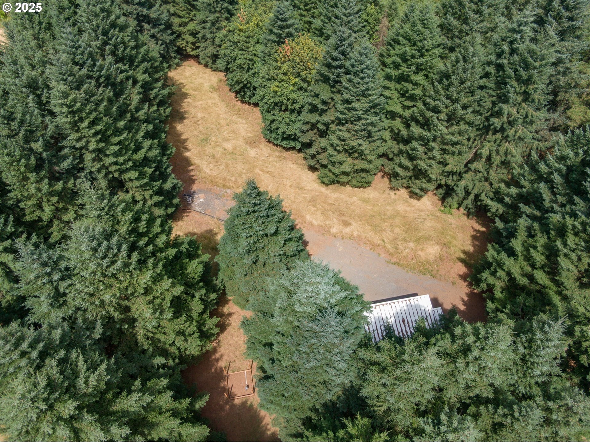 Property Photo: 19601 NE Trunk Rd OR 97115