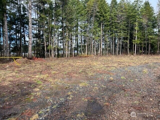 Property Photo: 100 E El Fuego Dr WA 98584