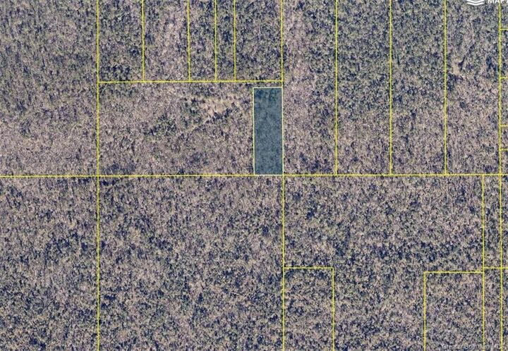 Property Photo: 0 Whatley Ditch Road LA 70668