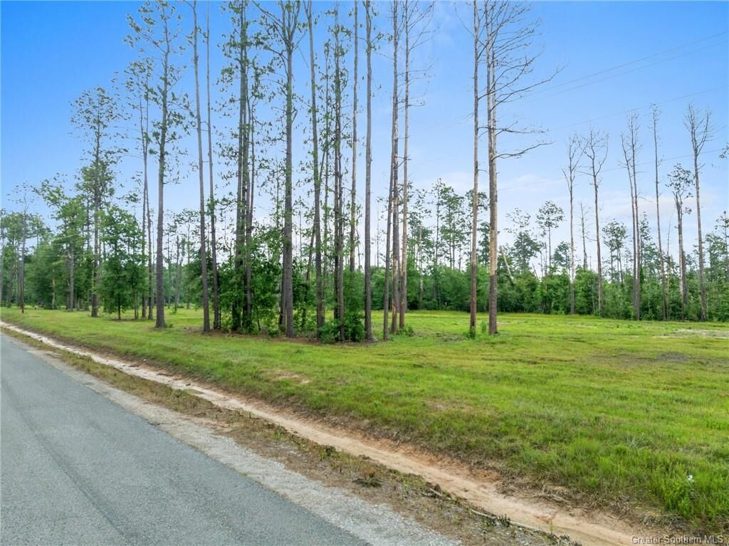 Property Photo: 0 Duke Hollingsworth Road Tract 4 LA 70657