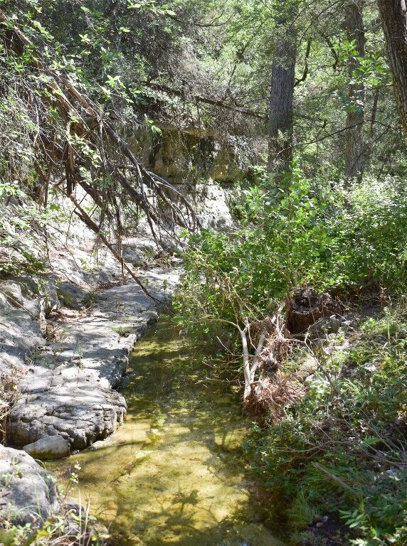 Property Photo: 245 Bluff End Road TX 78132