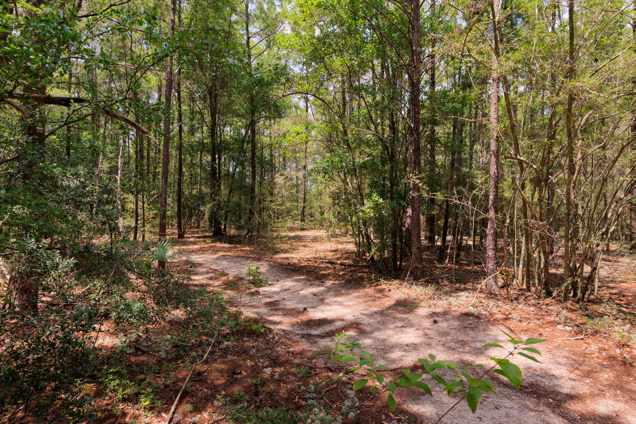 Property Photo: 5337 Carousel Lane FL 32539