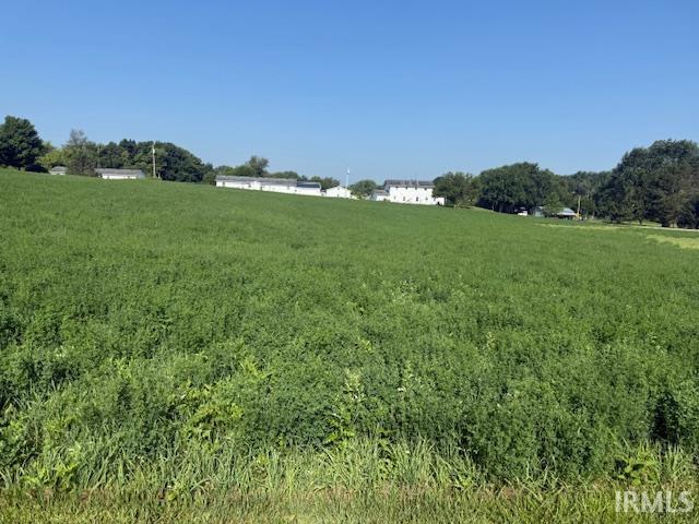 Property Photo:  Tbd Cr 61 Road  IN 46742 