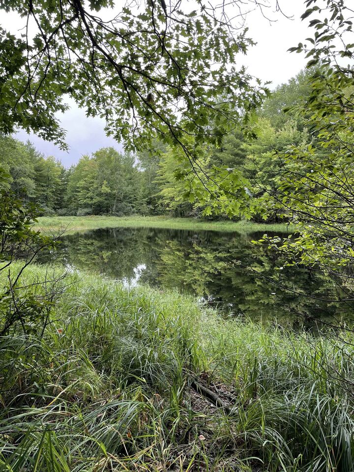 Property Photo: 12207 E Railroad Rd WI 54849