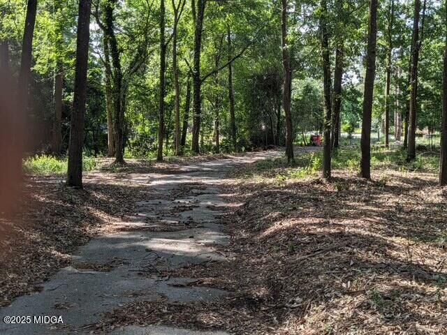 Property Photo:  1831 Upper River Road  GA 31211 