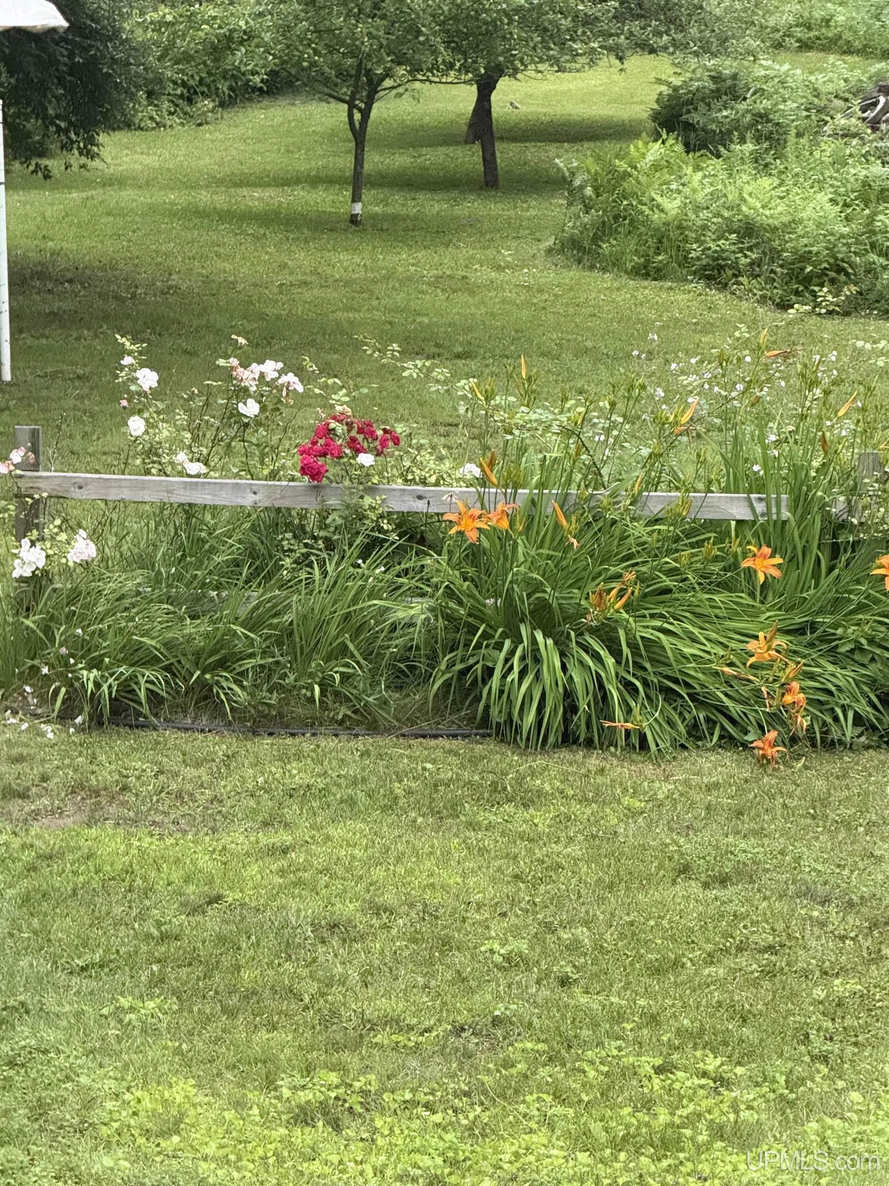 Property Photo: 51780 Canal Road MI 49931