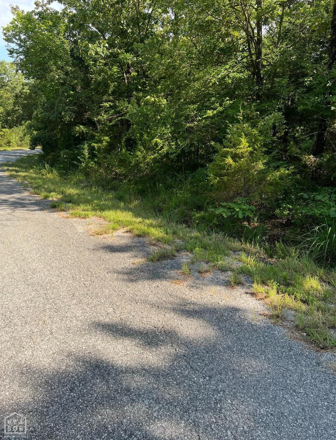 Property Photo: 607 Regal Drive AR 72512