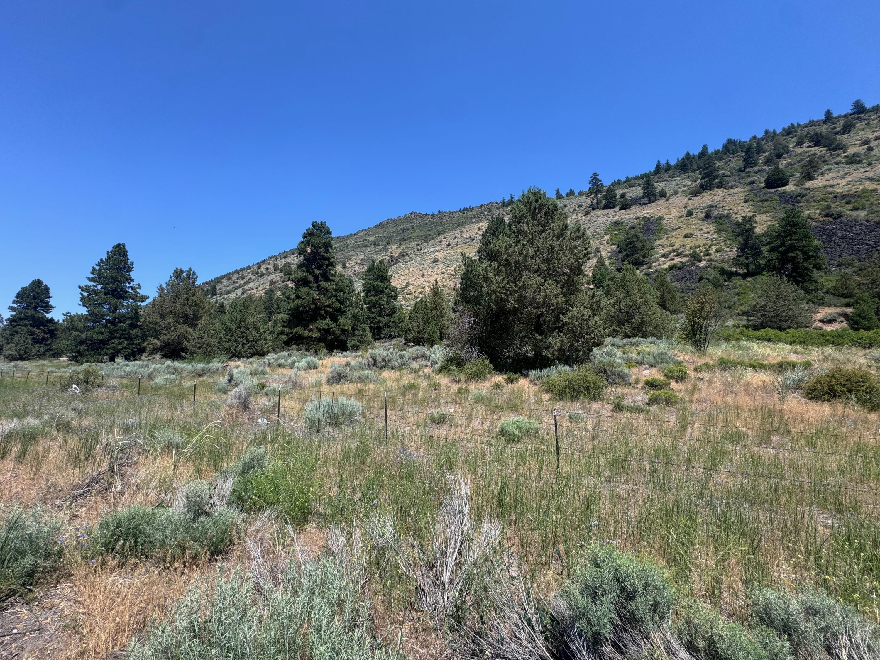 Property Photo:  0 Hwy 97 N  OR 97624 