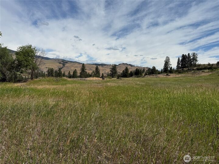 Property Photo: 0 Tbd Long Alec Creek Road WA 99118