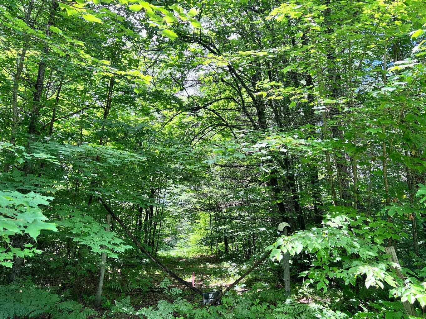 Property Photo: Tittabawassee Trail MI 49735