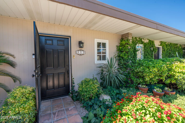 Property Photo: 4800 N 68th Street N 313 AZ 85251