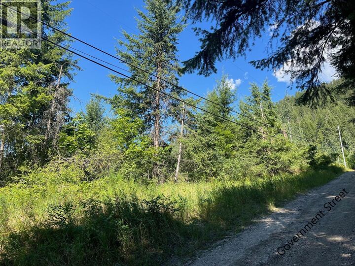 Property Photo:  Lot B Government Street  BC V1L 3K9 