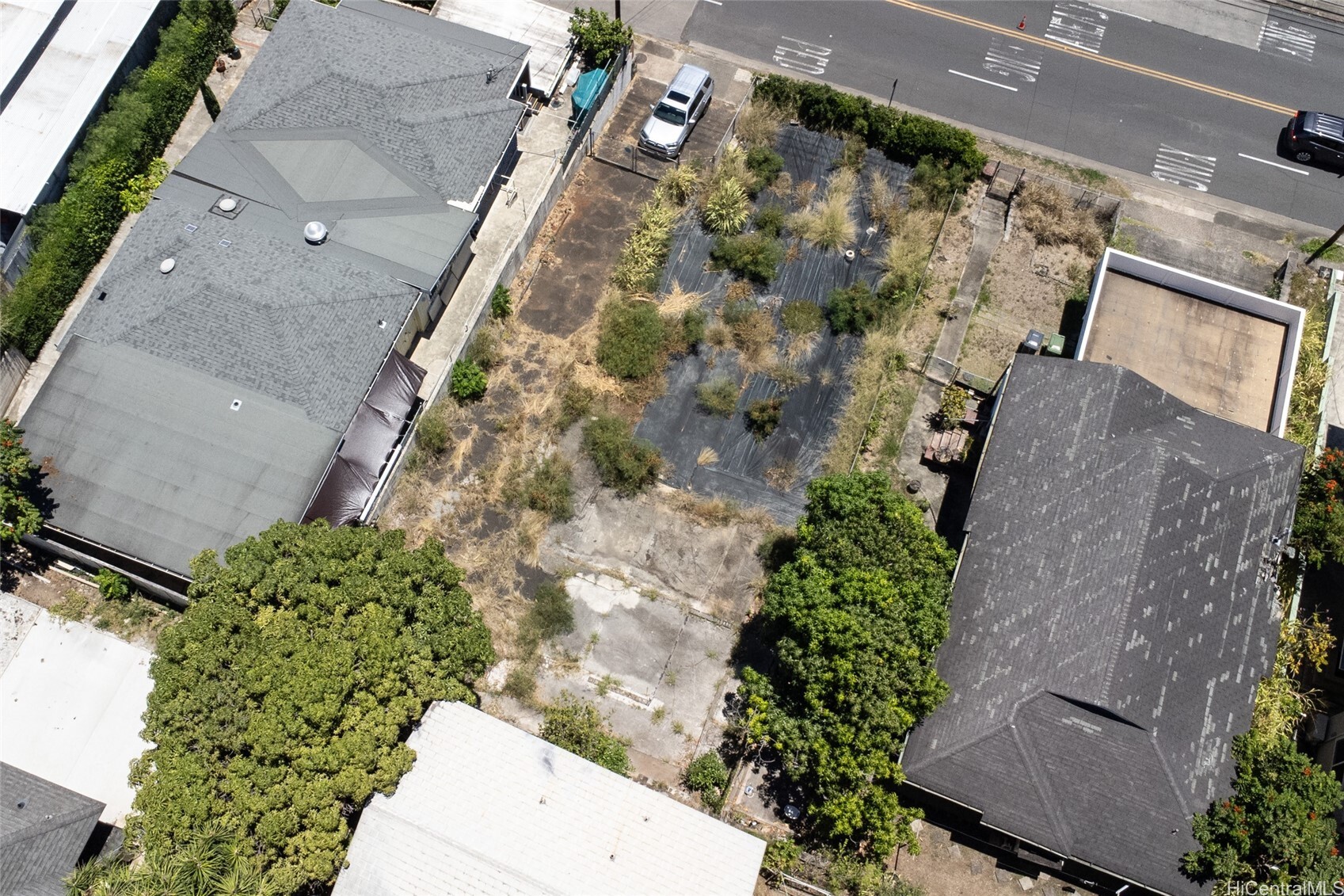 Property Photo:  1126 N School Street  HI 96817 