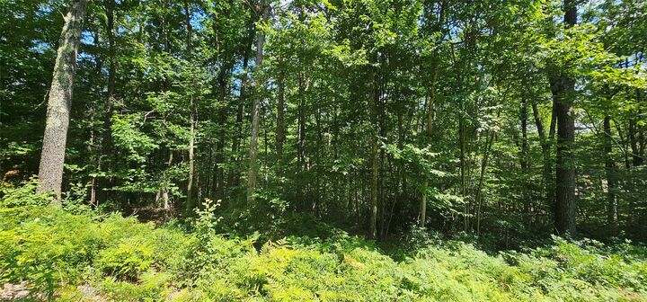 Property Photo: Lot 23.23 Perry Pond Road NY 12764