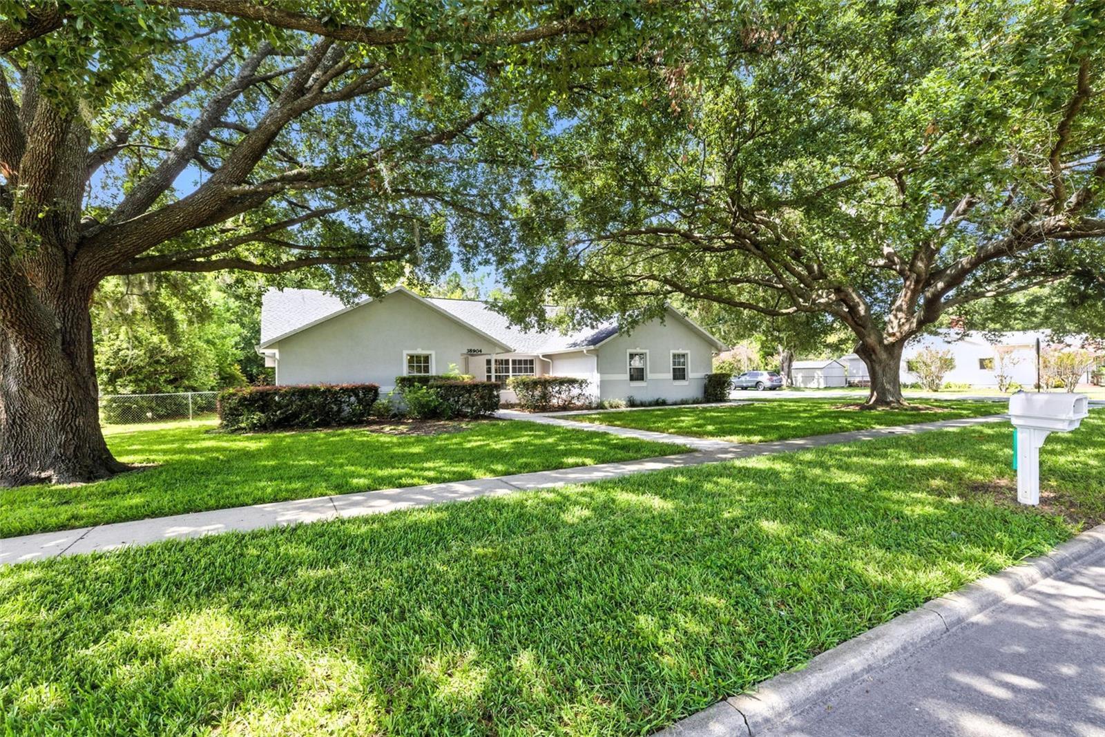 Property Photo: 38904 5th Avenue FL 33542
