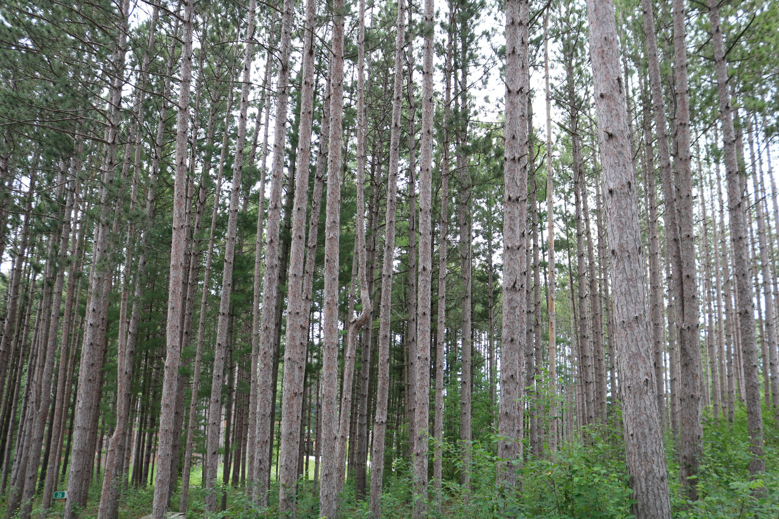 7855 Indian Lore Rd 26  Farmington WI 53090 photo