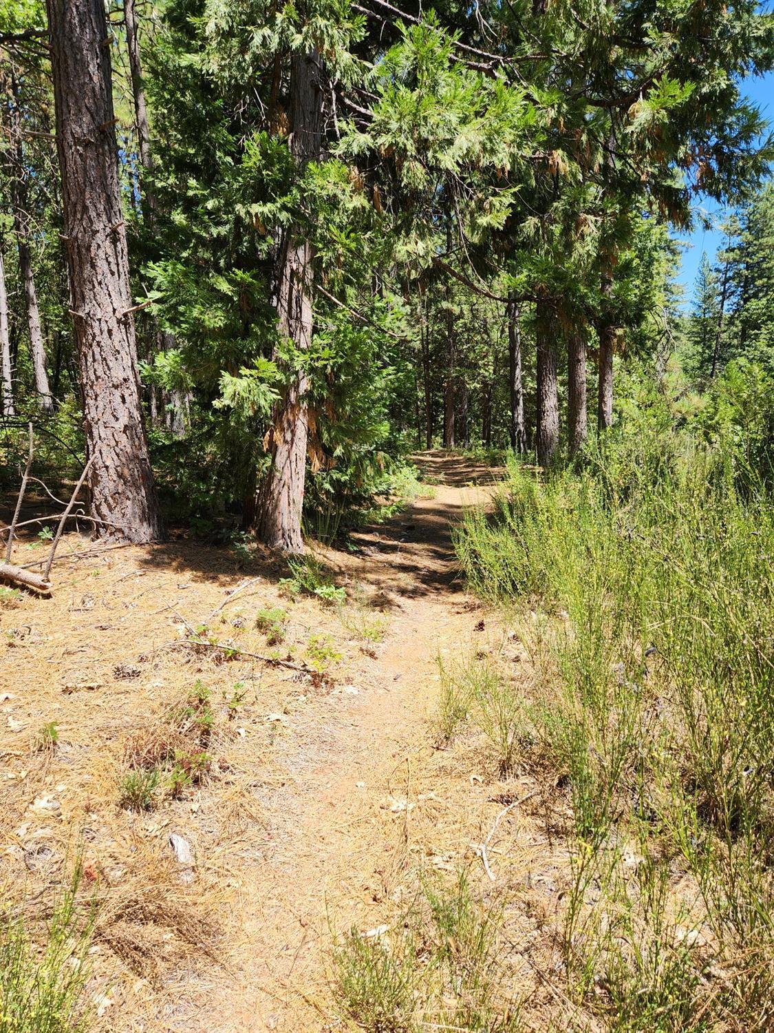 Property Photo: 10938 Cole Way CA 95945