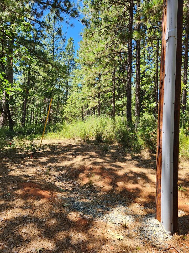 Property Photo:  10938 Cole Way  CA 95945 
