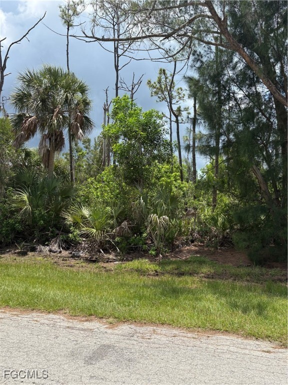 Property Photo: 3501 Tangerine Drive FL 33956