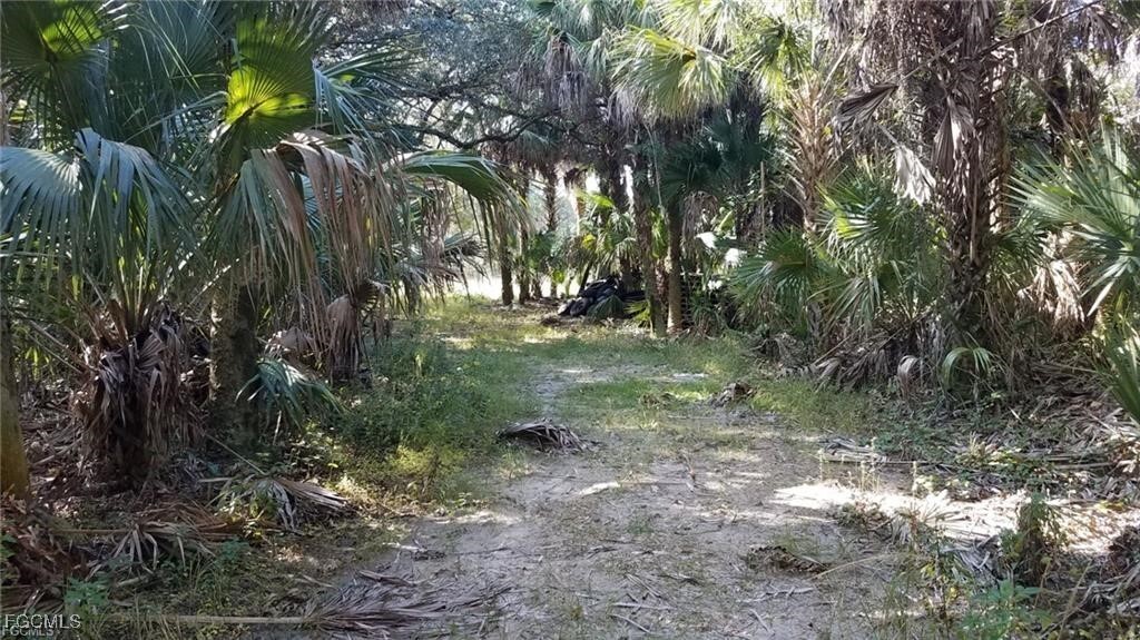 Property Photo:  1975 Everglades Boulevard S  FL 34117 
