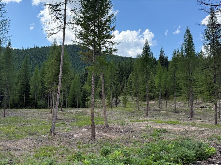 Tbd Lot 10 North Schreiber Lake Subdivision  Libby MT 59923 photo