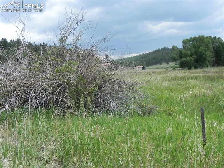 Property Photo: 6 Kiva Path CO 80827