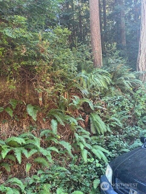 0 Xxx  Sandy Point Road  Langley WA 98260 photo