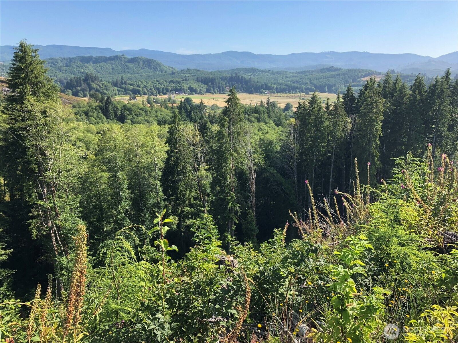 Property Photo: 0 Lot B State Route 4 Highway WA 98674