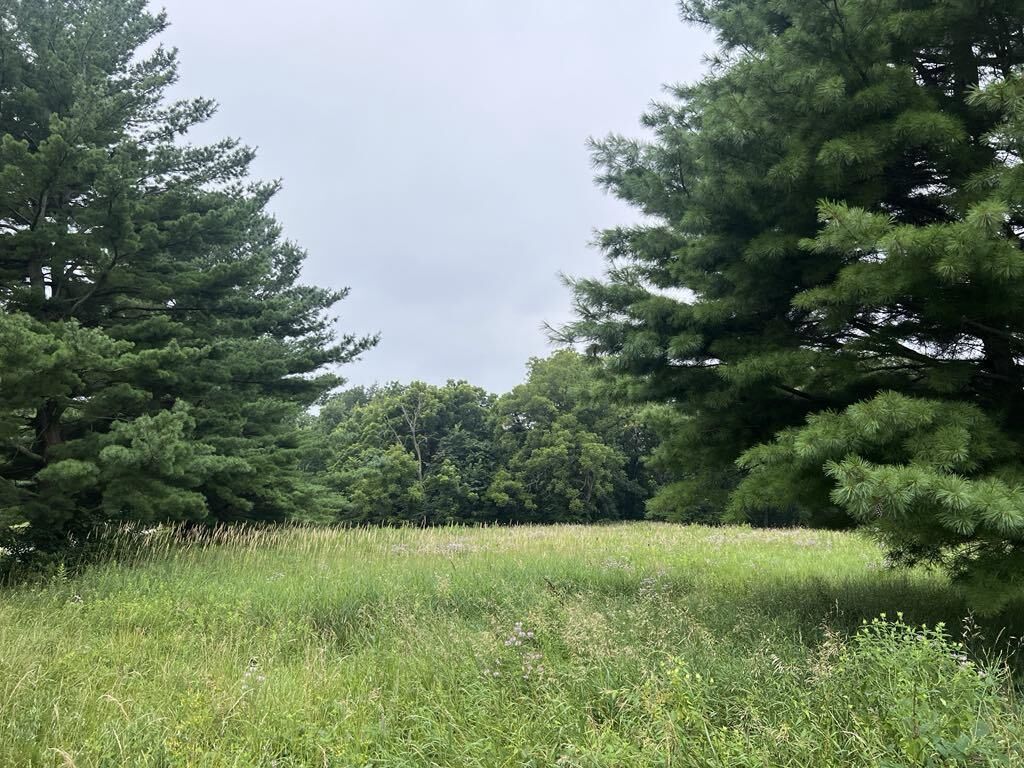 Property Photo:  1.58 Lot 77 Hawk Point Road  WI 54628 