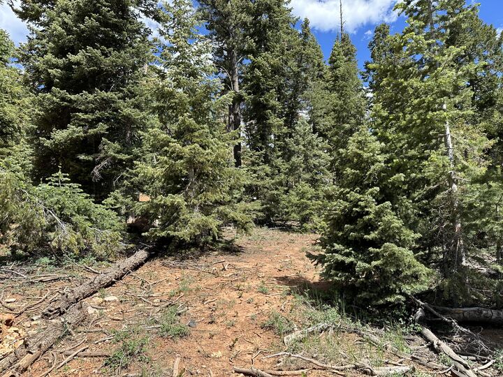 Property Photo: 1065 Redwood Rd UT 84762