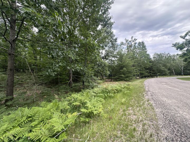 Lot 1634 Partridge Place  Gaylord MI 49735 photo