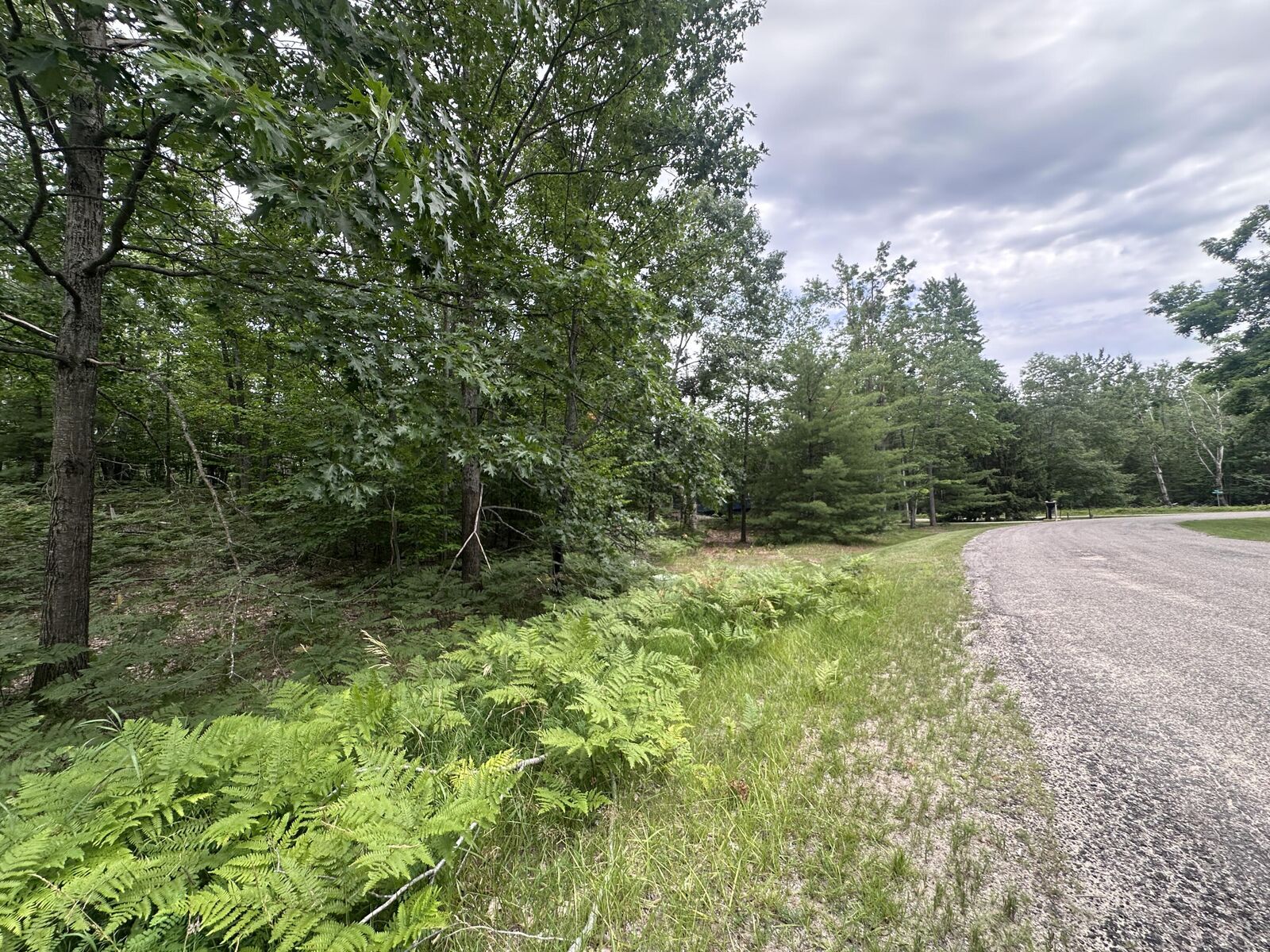 Property Photo: Lot 1634 Partridge Place MI 49735