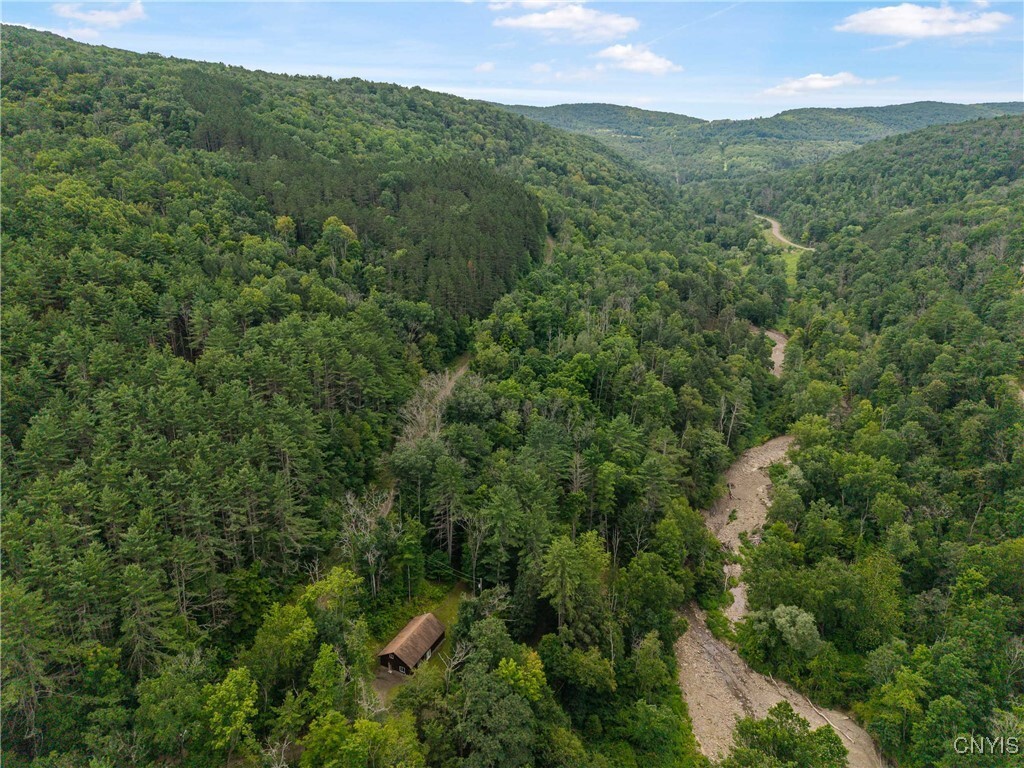 Property Photo: 5059 McMaster Road NY 14819