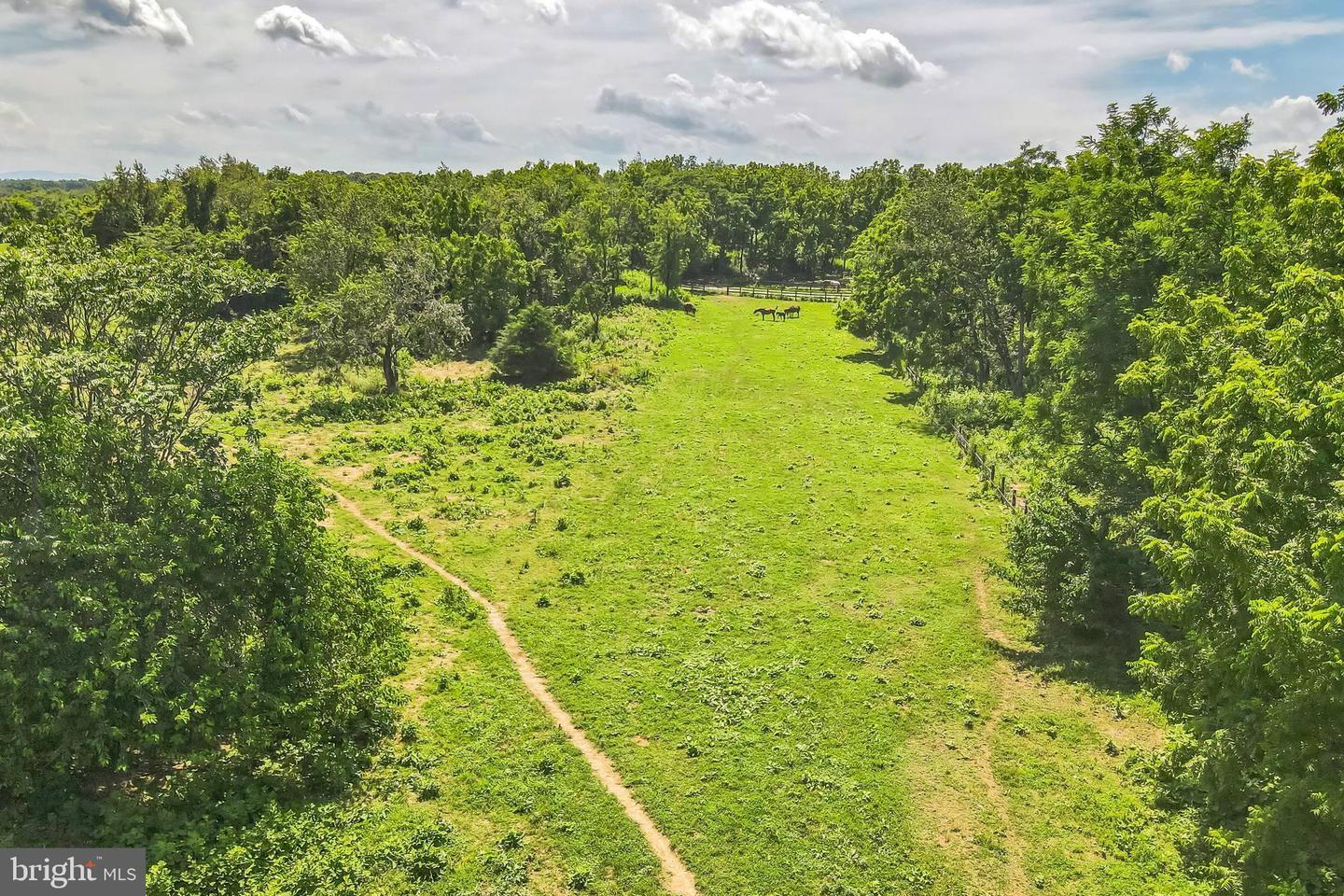Property Photo:  1683 Withers Larue Road  VA 22611 
