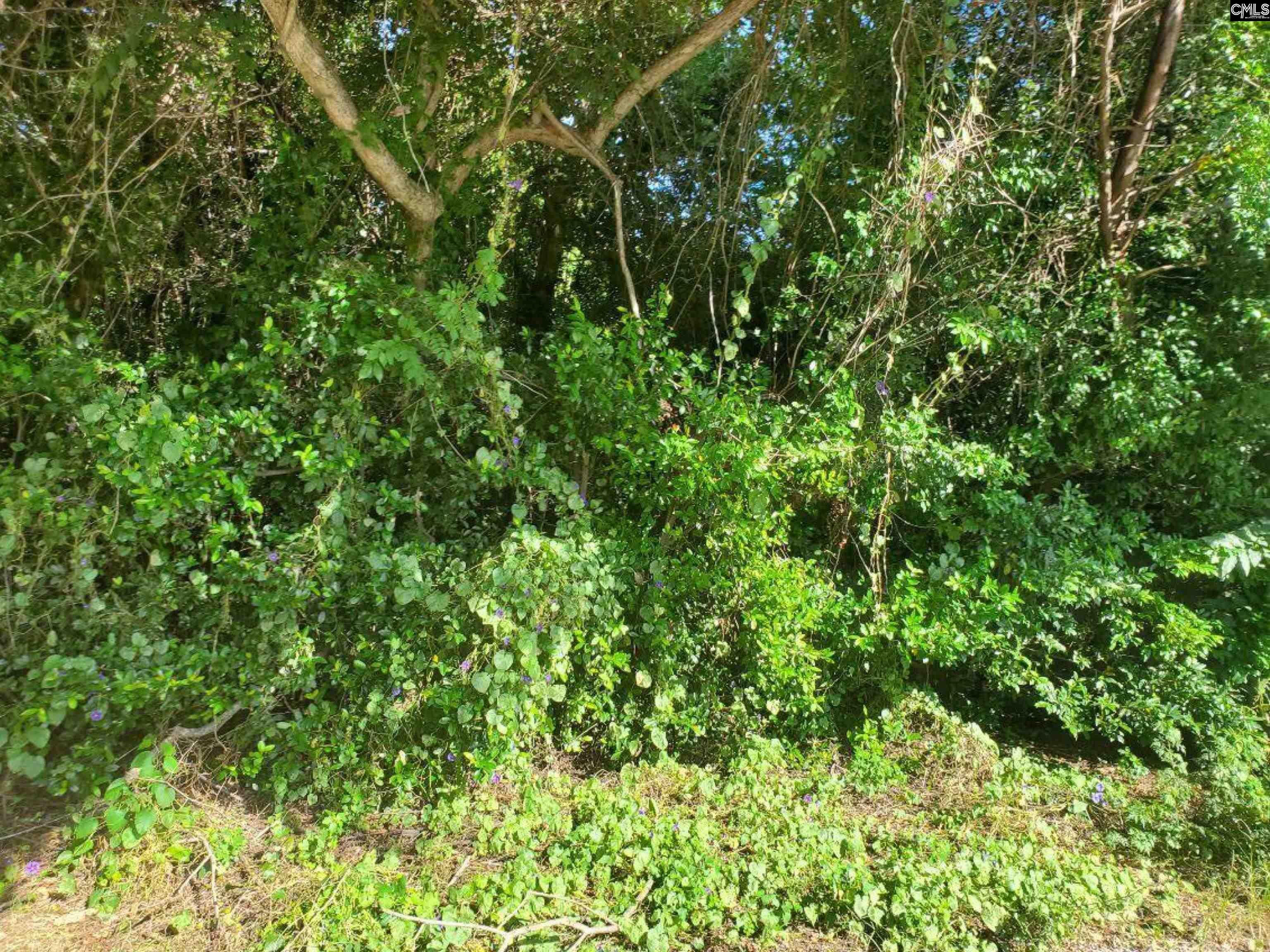 Property Photo: 1671 Desoto SC 29115-0000