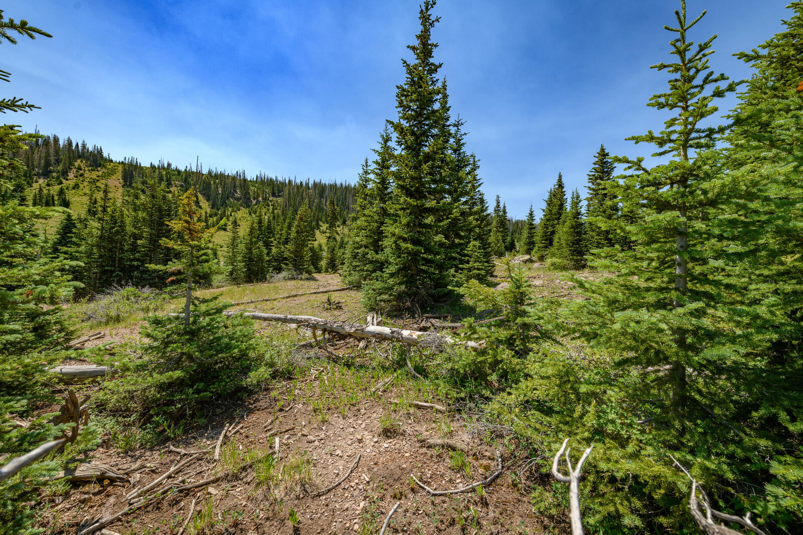 Property Photo: Lot 29, Aspen Mdws SE Neighbor UT 84719