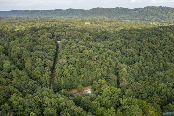 Property Photo: 160 Mill Hill Road AL 35954