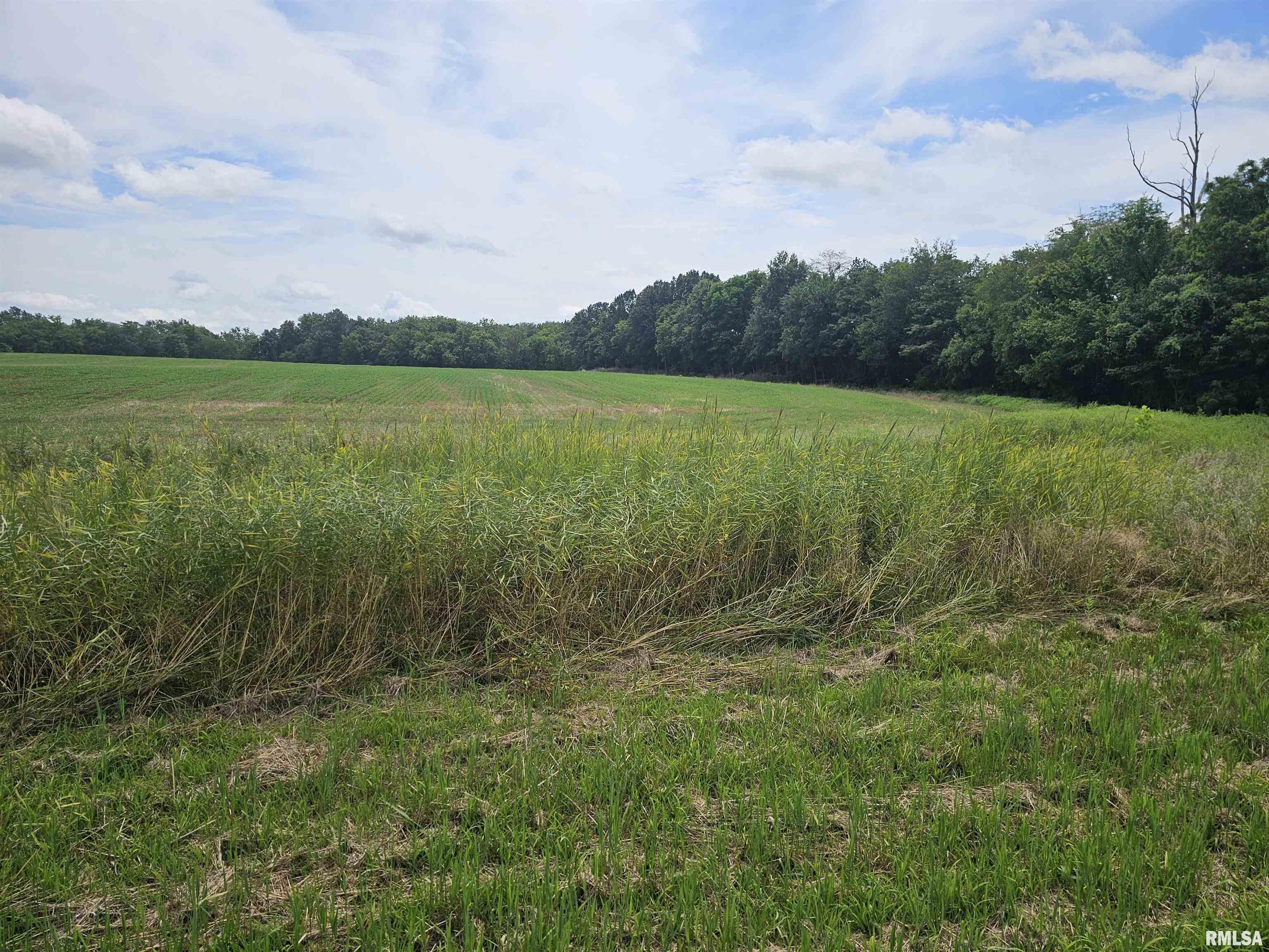 0000 Roseborough Road  Sparta IL 62286 photo