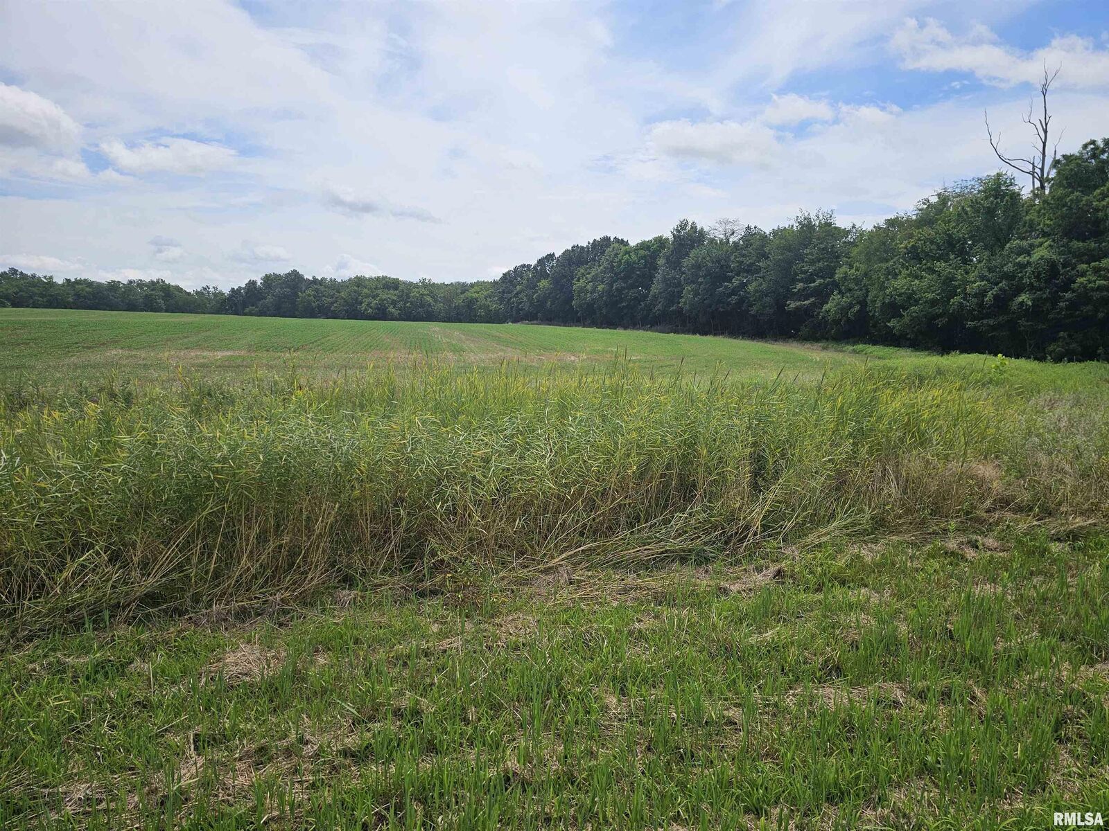 Property Photo: 0000 Roseborough Road IL 62286