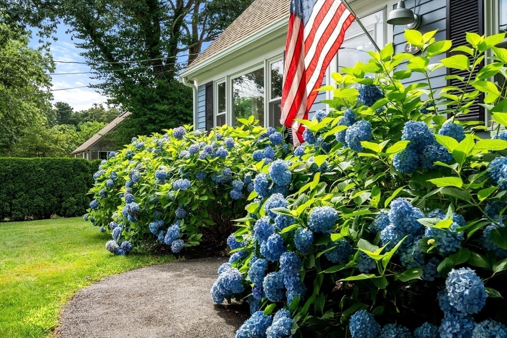 Property Photo: 44 Hillside Avenue MA 02556