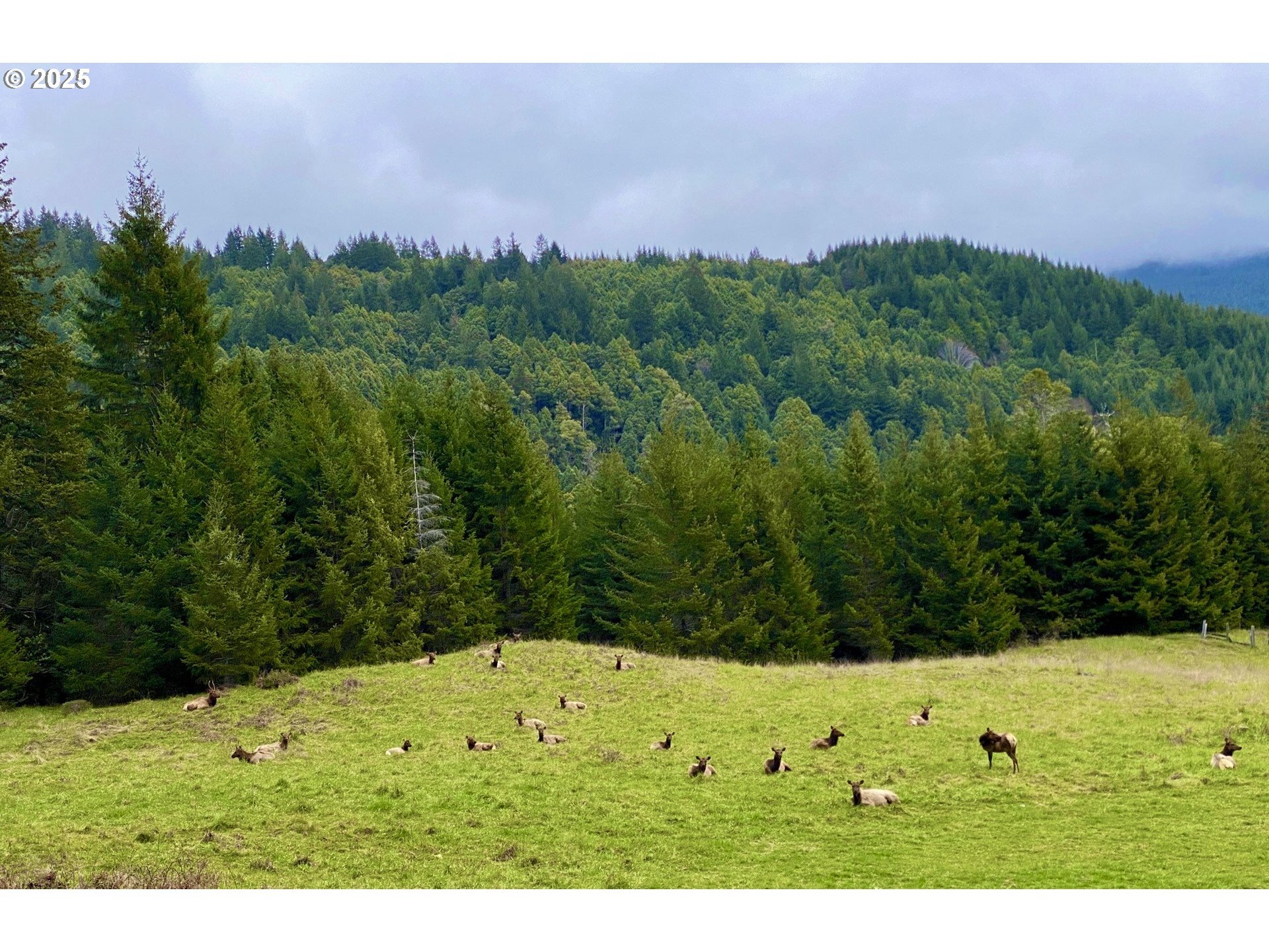 Property Photo:  0 Miller Ranch Rd  OR 97444 