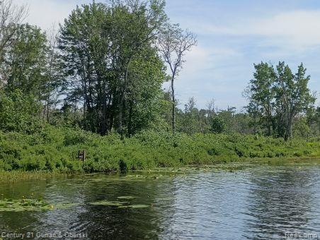 Property Photo: 0000 Tahquamenon River (Shore) MI 49868